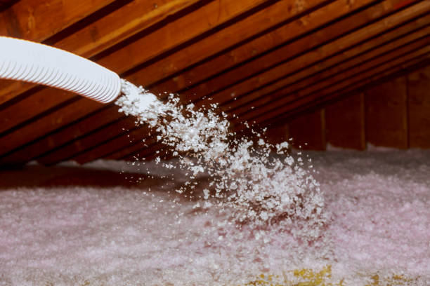 Best Spray Foam Insulation  in Cramerton, NC