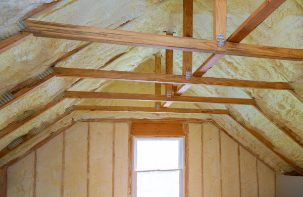 Best Insulation Removal  in Cramerton, NC