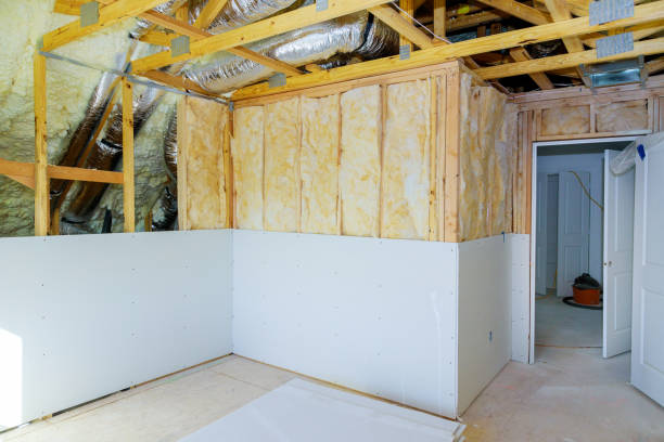 Best Cellulose Insulation  in Cramerton, NC