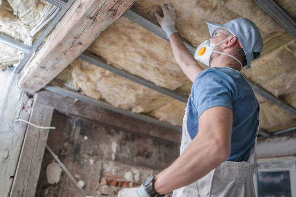 Best Best Insulation Companies  in Cramerton, NC