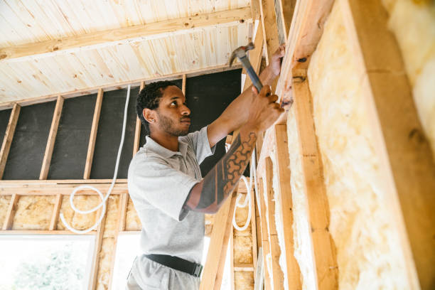 Best Home Insulation Services  in Cramerton, NC