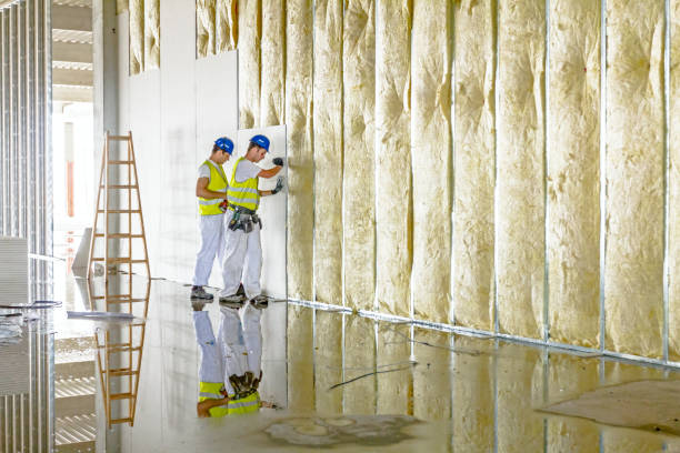 Best Insulation Replacement Services  in Cramerton, NC